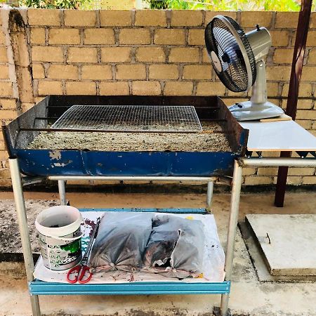 Homestay Tok Abah Dalam Rhu Pasir Puteh Exteriér fotografie