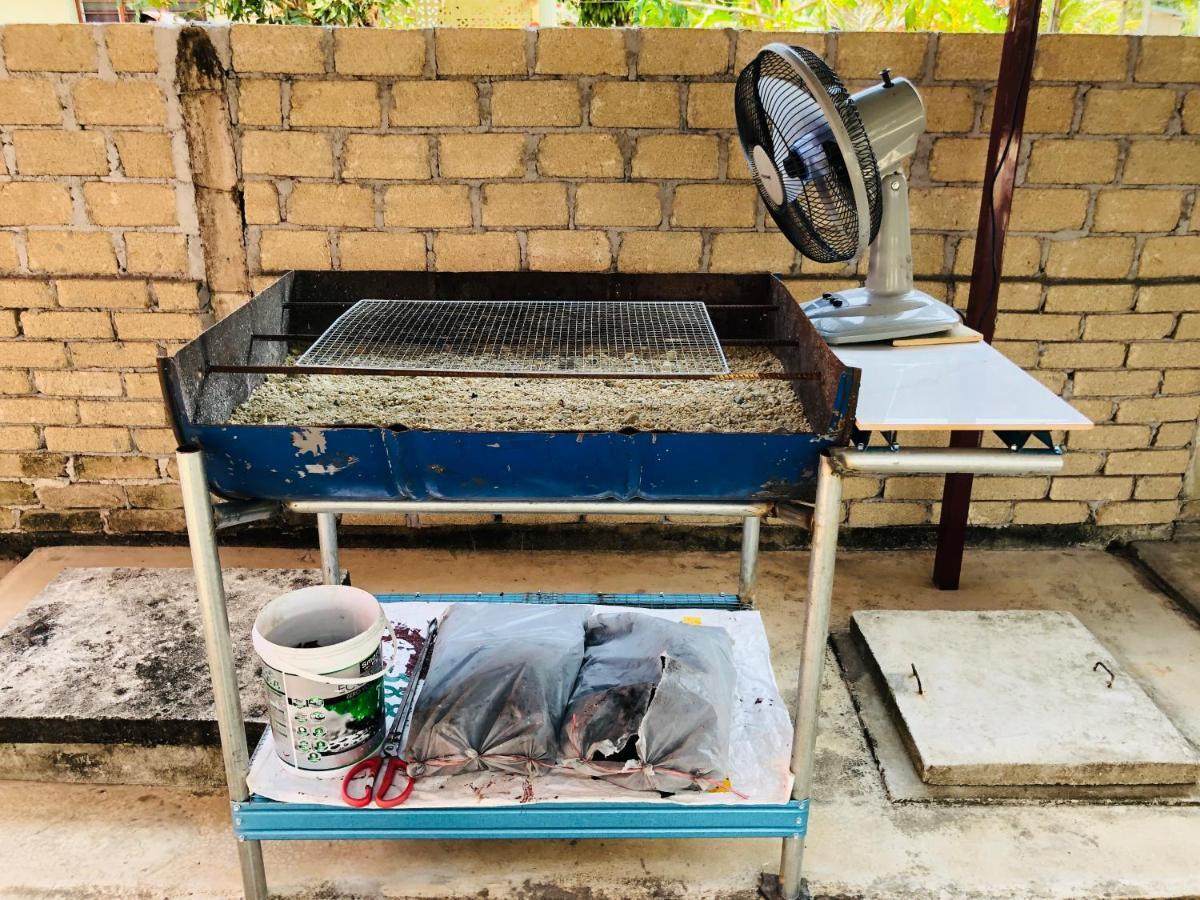 Homestay Tok Abah Dalam Rhu Pasir Puteh Exteriér fotografie